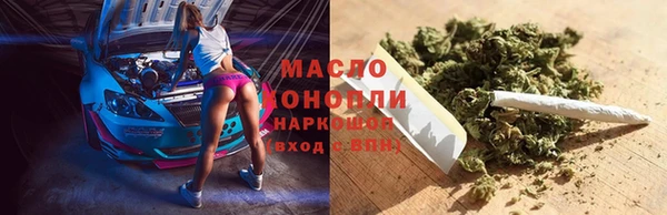 гидра Волоколамск