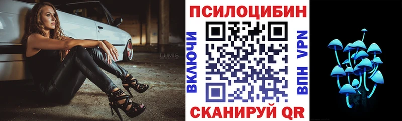 KRAKEN ТОР  Тамбов  Псилоцибиновые грибы Psilocybe 