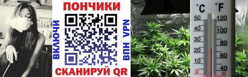 Бошки Шишки White Widow  Тамбов 